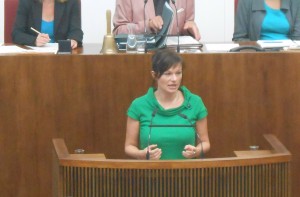 Reden schwingen im Parlament