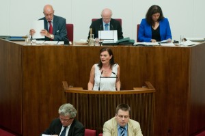 REDE im Parlament